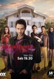 Poster for Bir Aşk Hikayesi