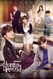 Poster for Cinderella and the Four Knights