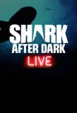Poster for Shark After Dark