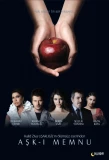 Poster for Aşk-ı Memnu
