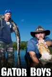 Poster for Gator Boys