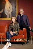 Poster for Fake or Fortune?