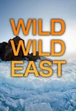 Poster for Wild Wild East