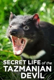 Poster for Secret Life of the Tasmanian Devil
