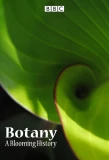 Poster for Botany: A Blooming History