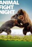 Poster for Animal Fight Night