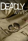 Poster for Deadly Wives