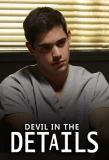 Poster for Devil in the Details