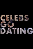 Poster for Celebs Go Dating