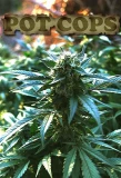 Poster for Pot Cops