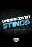 Poster for Undercover Stings
