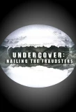Poster for Undercover: Nailing the Fraudsters
