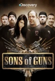 Poster for Sons of Guns