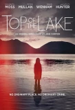 Poster for Top of the Lake
