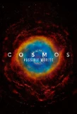 Poster for Cosmos
