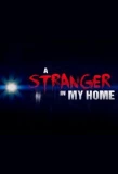 Poster for A Stranger in My Home