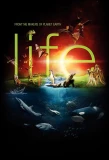 Poster for Life