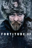 Poster for Fortitude