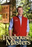 Poster for Treehouse Masters