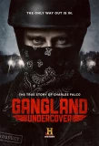 Poster for Gangland Undercover