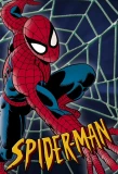 Poster for Spider-Man