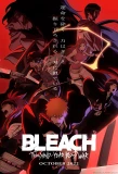 Poster for Bleach