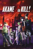 Poster for Akame Ga Kill!
