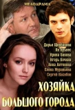 Poster for Хозяйка большого города