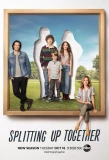 Poster for Splitting Up Together