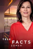 Poster for Telefacts Zomer
