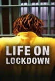 Poster for Life on Lockdown