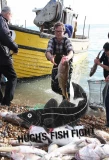 Poster for Hugh's Fish Fight