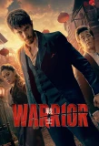 Poster for Warrior