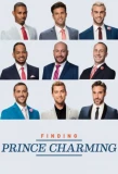 Poster for Finding Prince Charming