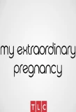 Poster for My Extraordinary Pregnancy