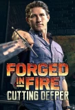 Poster for Forged in Fire: Cutting Deeper