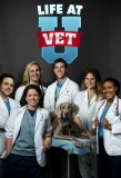 Poster for Life at Vet U