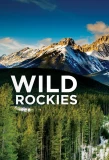 Poster for Wild Rockies