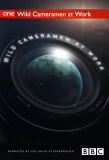 Poster for Wild Cameramen at Work
