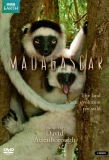 Poster for Madagascar