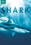 Poster for Shark