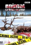 Poster for Animal Crime Scene