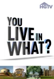 Poster for You Live in What?