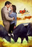 Poster for Amor Bravio