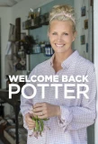 Poster for Welcome Back Potter