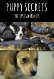 Poster for Puppy Secrets: The First Six Months