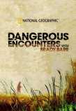 Poster for Dangerous Encounters