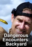 Poster for Dangerous Encounters: Backyard Monsters