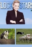 Poster for Flockstars