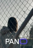 Poster for Pano